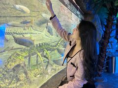 -芜湖新华联大白鲸海洋公园