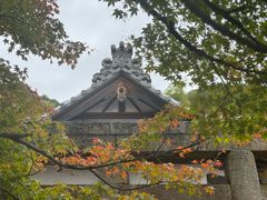 -常寂光寺