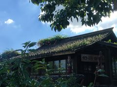 -舒羽咖啡(运河店)