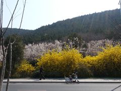 -云龙山
