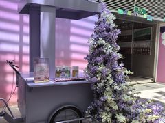 -生活如沸·顺德水牛奶火锅(大学路店)