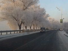 android_upload_pic-雾凇岛