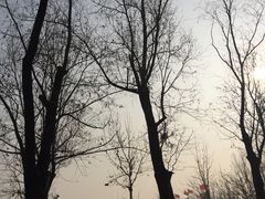 -北京亚布洛尼朝阳公园滑雪场