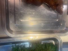 -古彭7只羊·徐州烧烤(旗舰店)