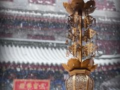 -西安大兴善寺