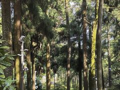 -莫干山风景区