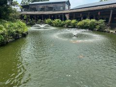 -大门水乡·顺德菜