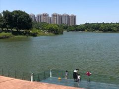 -东莞植物园