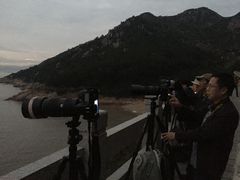 -北岐滩涂