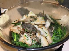 香葱焗石斑鱼-尚一汤·粤菜海鲜(环球港店)