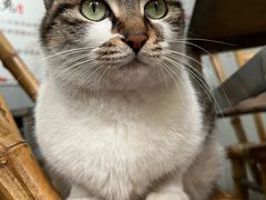 -铜瓢江湖兔火锅(水碾河社区店)