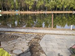 -森林公园(尖草坪区)