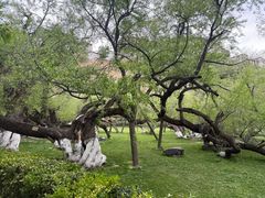 -宗角禄康公园