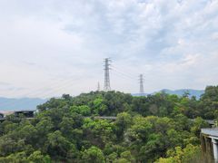 -金鸡山公园