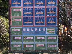 -灵玲国际马戏城
