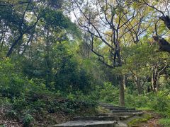 -黄埔油麻山森林公园