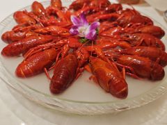 -京悦南门涮羊肉·羊蝎子火锅(田林路店)