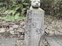 -都江堰中华大熊猫苑