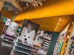 -KKV(深圳宏发大仟里店)