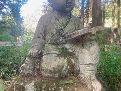 -武陵山森林公园