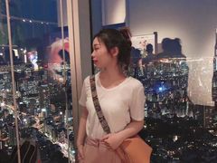 -六本木新城展望台(东京城市景观)