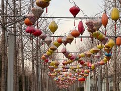 -南宫五洲植物乐园