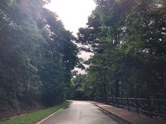 -广州市石门国家森林公园