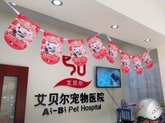 -艾贝尔宠物医院 ·内科全科(梁溪路店)