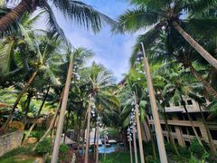 -海南清水湾莱佛士酒店