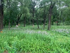 -长春市南湖公园