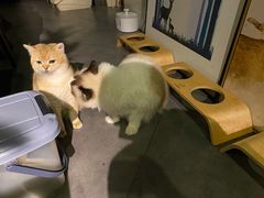 -咖法森林·咖啡  酒吧(天河店)