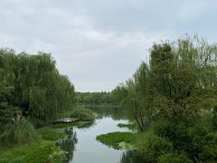 -贡湖湾湿地公园