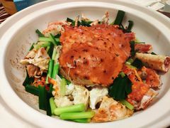 -欢乐海岸美食联盟