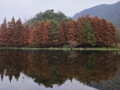 -贵阳市花溪国家城市湿地公园