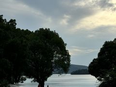 -逸廊大堂吧-下午茶·简餐-千岛湖自由洲际殿