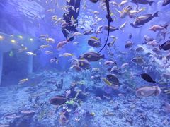 -广州海洋馆