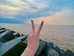 -南汇嘴观海公园