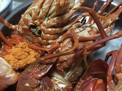 小青龙-盒马鲜生(曜一城店)