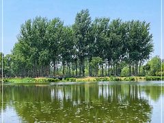 -东郊湿地公园