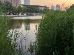 -泰丰公园