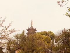 -鸡鸣赐茶(鸡鸣寺路店)
