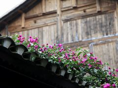 -青岩古镇
