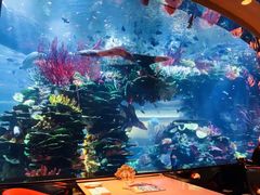 -迪拜帆船酒店海底餐厅