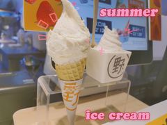 -野人牧坊Gelato(天津南开大悦城店)