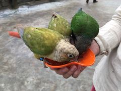 -昆明动物园