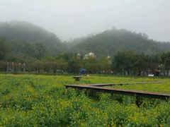 -红山村