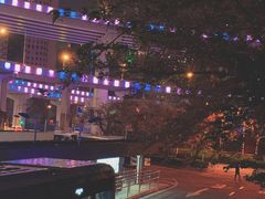 -上海南浦大桥长途旅游客运站