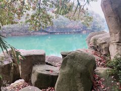 -白马涧龙池景区