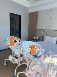 -弗蕾亚·和月月子调理院(东湖店)