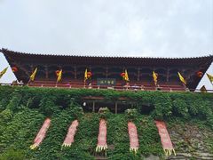 -杭州宋城
